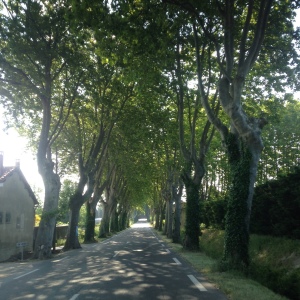 Provence Road